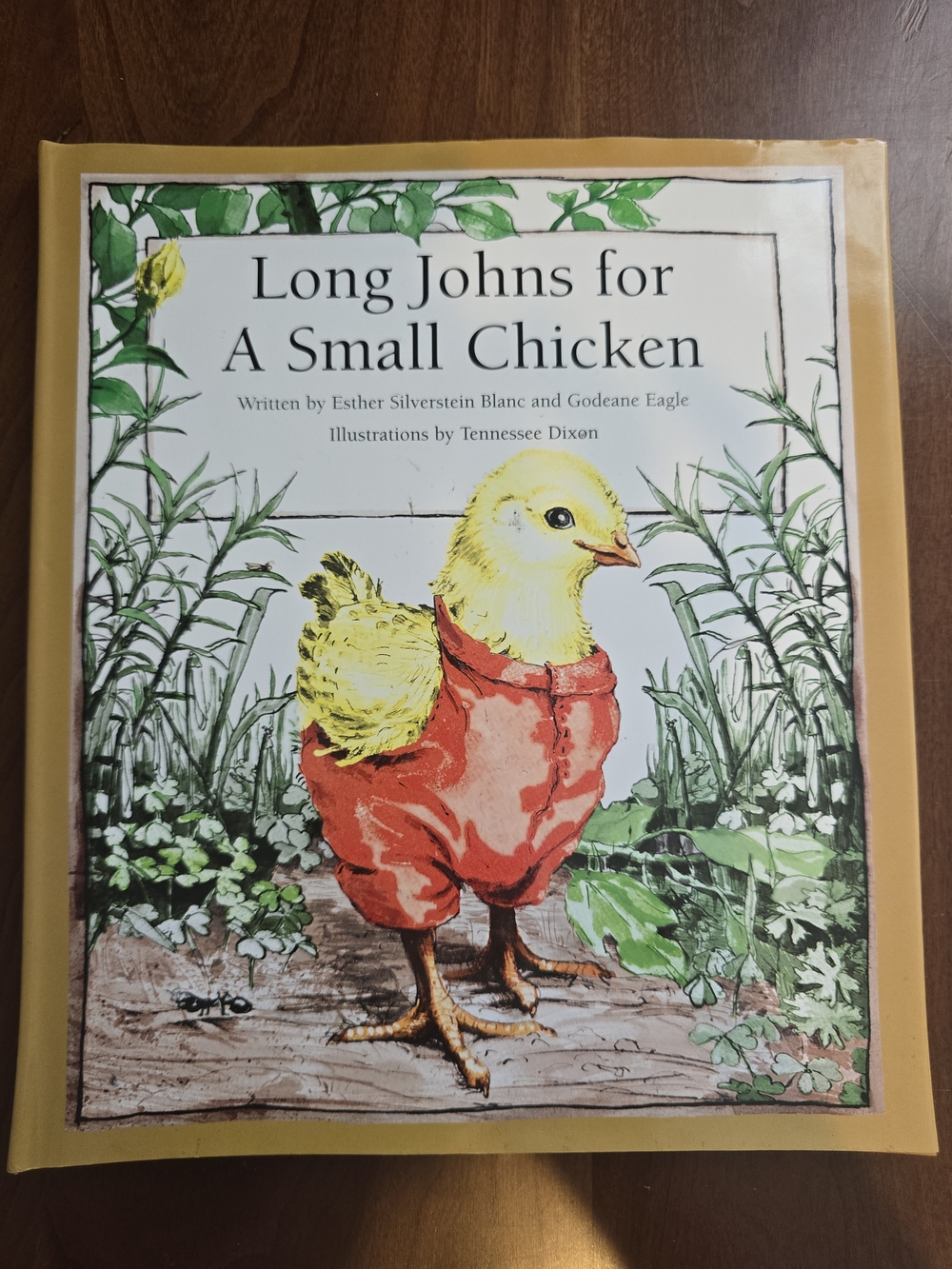 Long Johns for a Small Chicken - Book